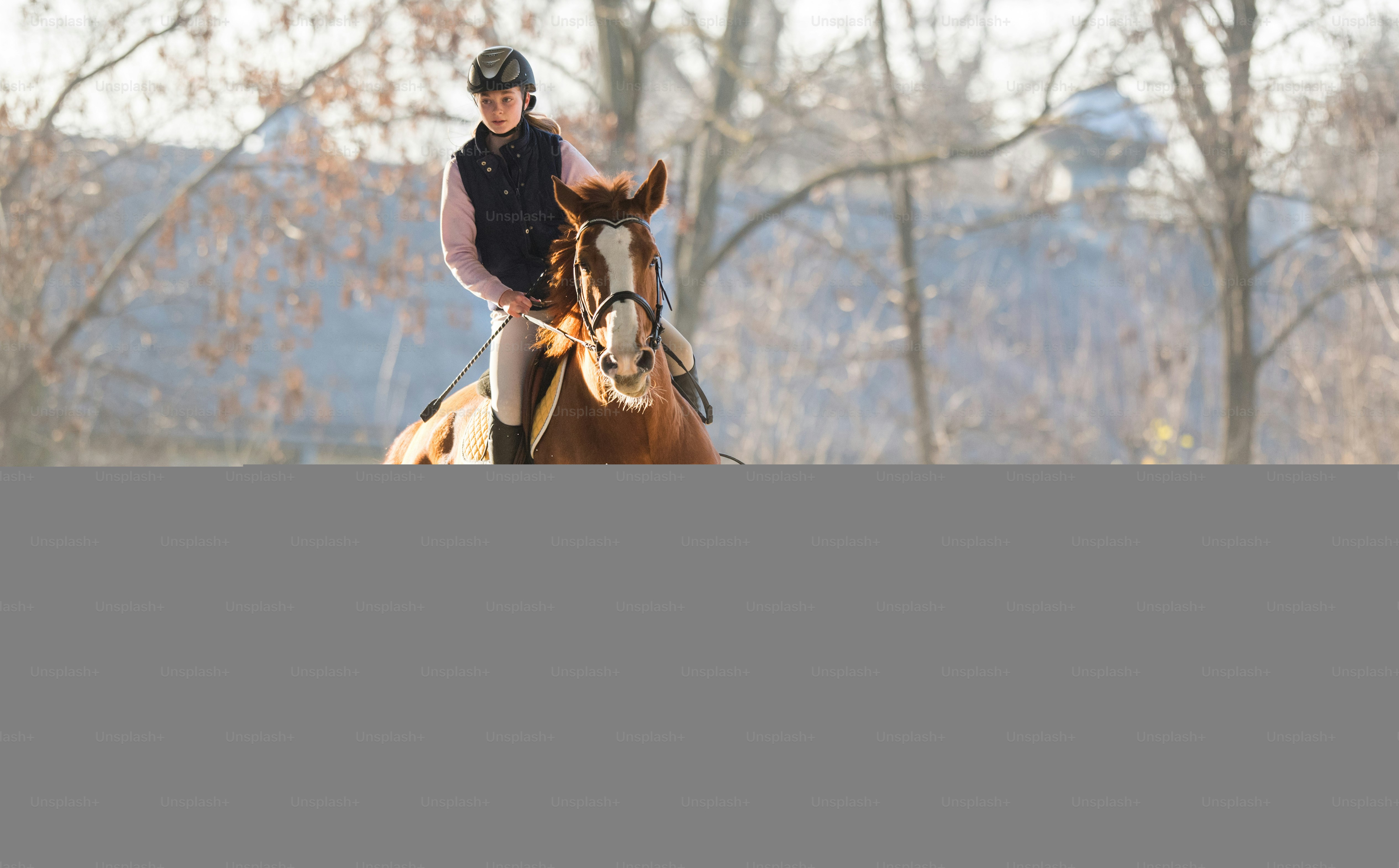 Young pretty girl riding a horse