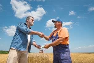 agricultor feliz após a colheita do trigo