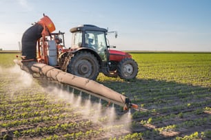 trator pulverizando pesticidas em soja