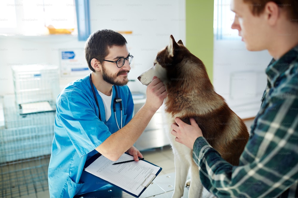 Vet clinician cuddling husky dog during medical treatment