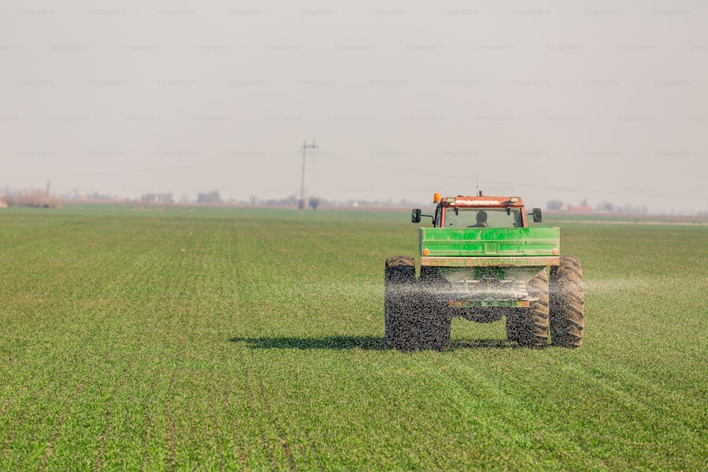Agricultor en tractor fertilizando campo de trigo en primavera con npk