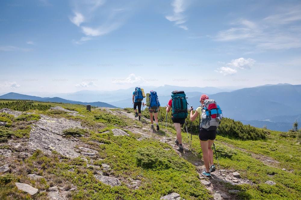 Los jóvenes hacen senderismo en las montañas de los Cárpatos en verano