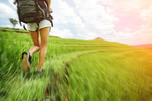 Piernas de mujer en forma y hermosas con mochila caminando a través de un campo verde (desenfoque de movimiento intencional y resplandor del sol)