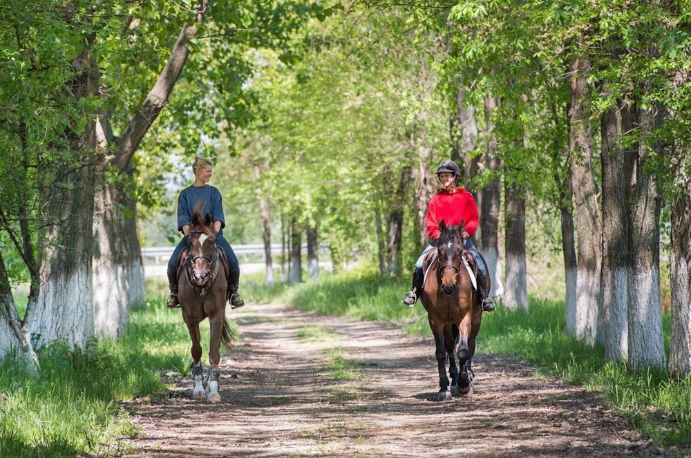 girls on a horse ride.