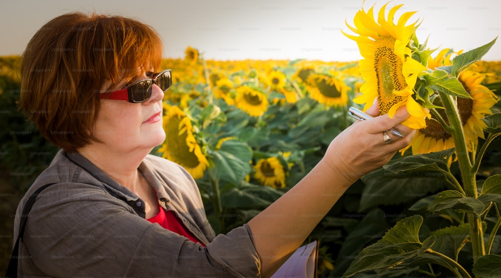 Agricultrice, agricultrice ou agronome dans un champ de tournesol