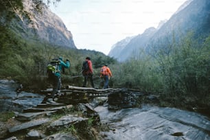 Mountain hikers crossing the footbridge in Himalayas.