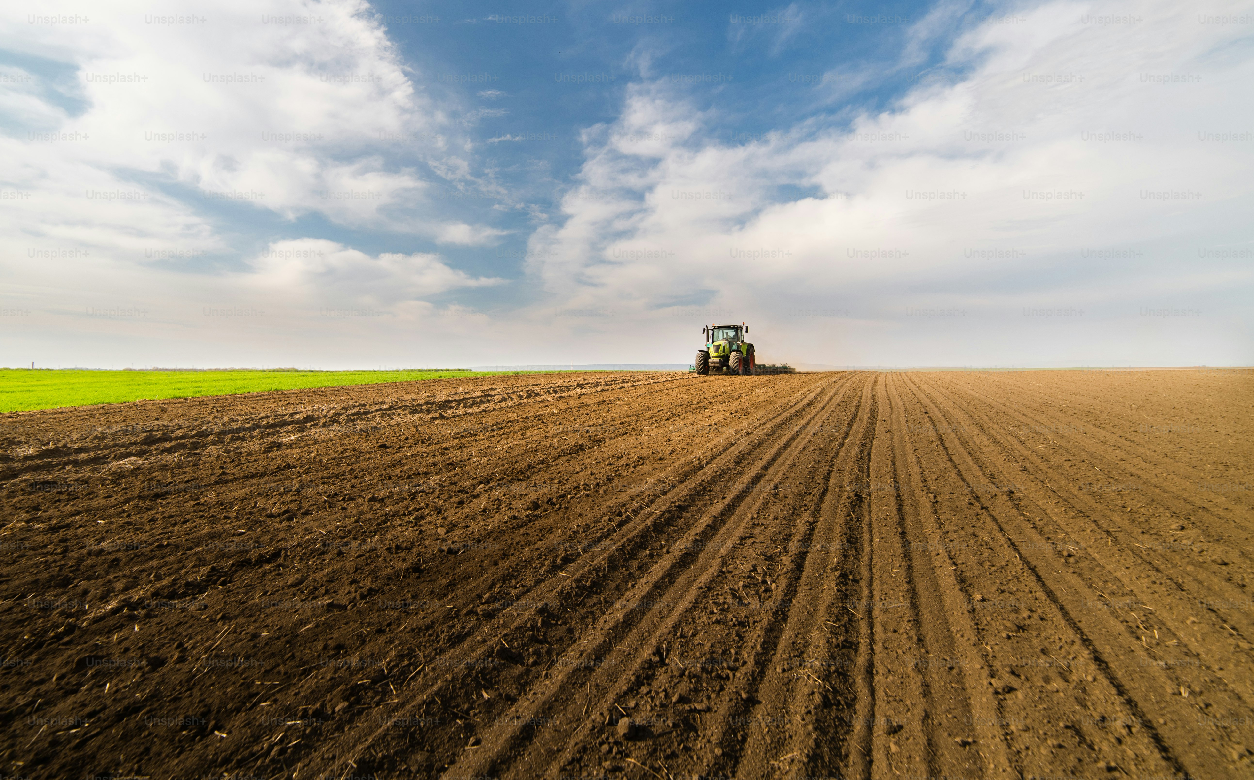 Tractor preparing land for sowing