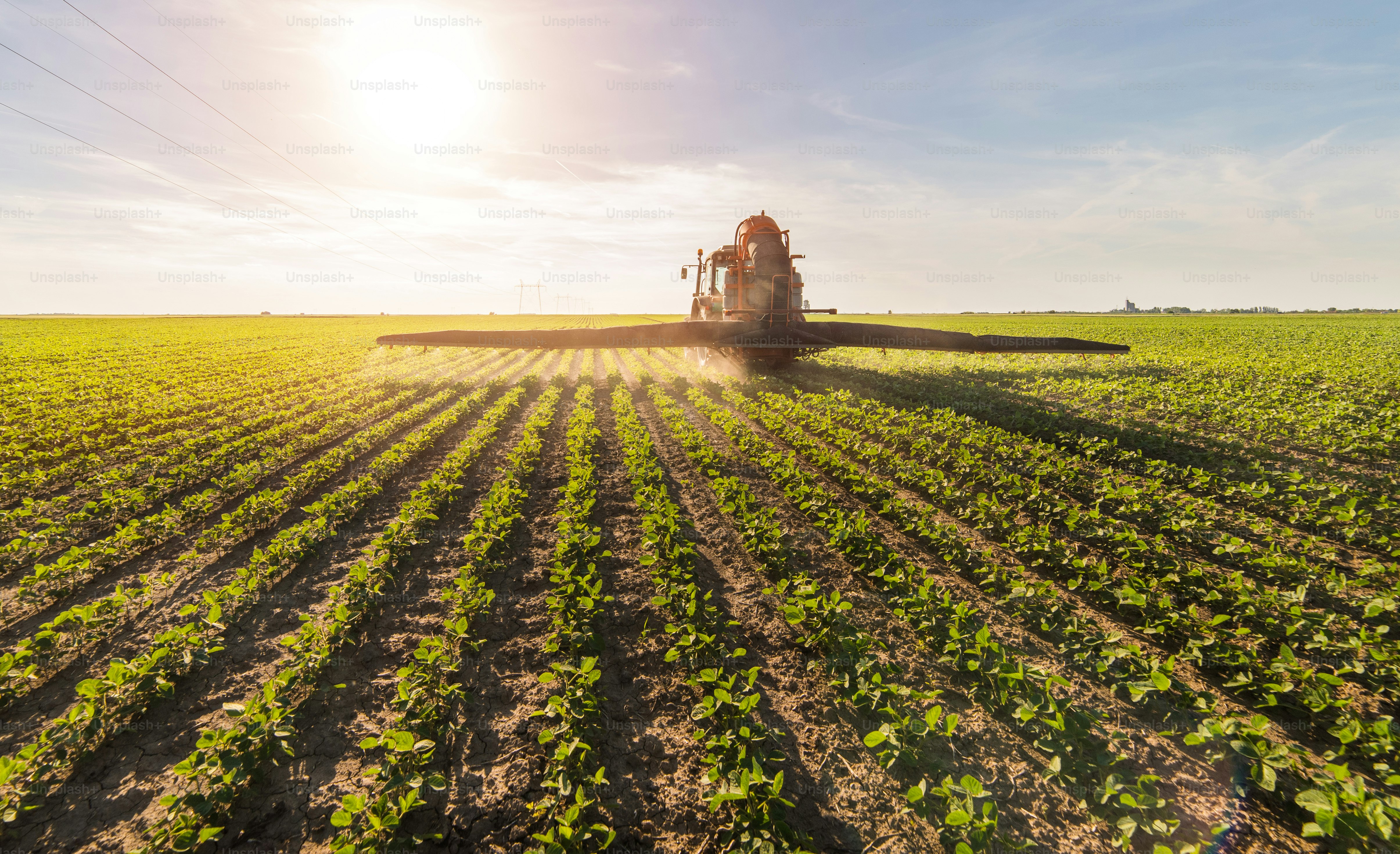Tractor spraying pesticides on soybean field  with sprayer at spring