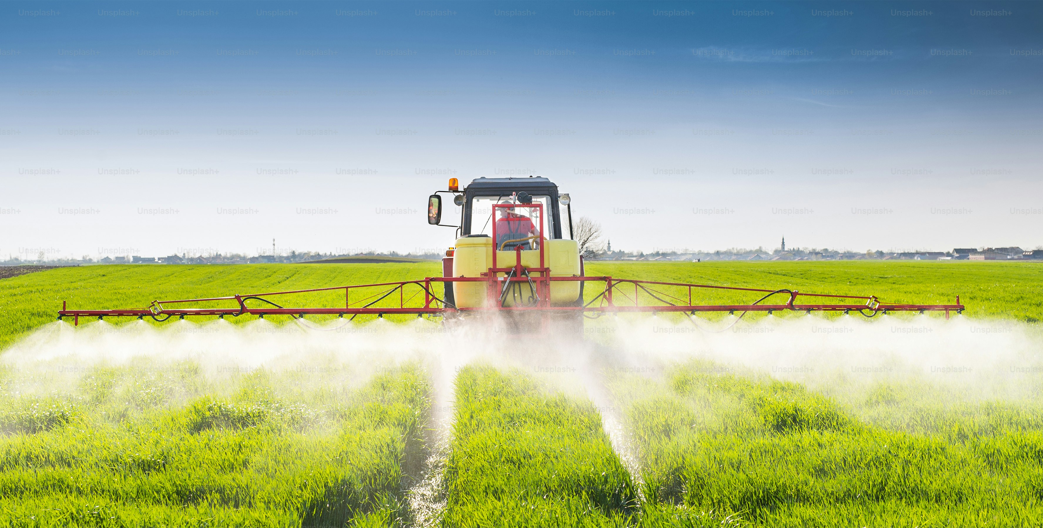 Tractor spraying wheat field with sprayer