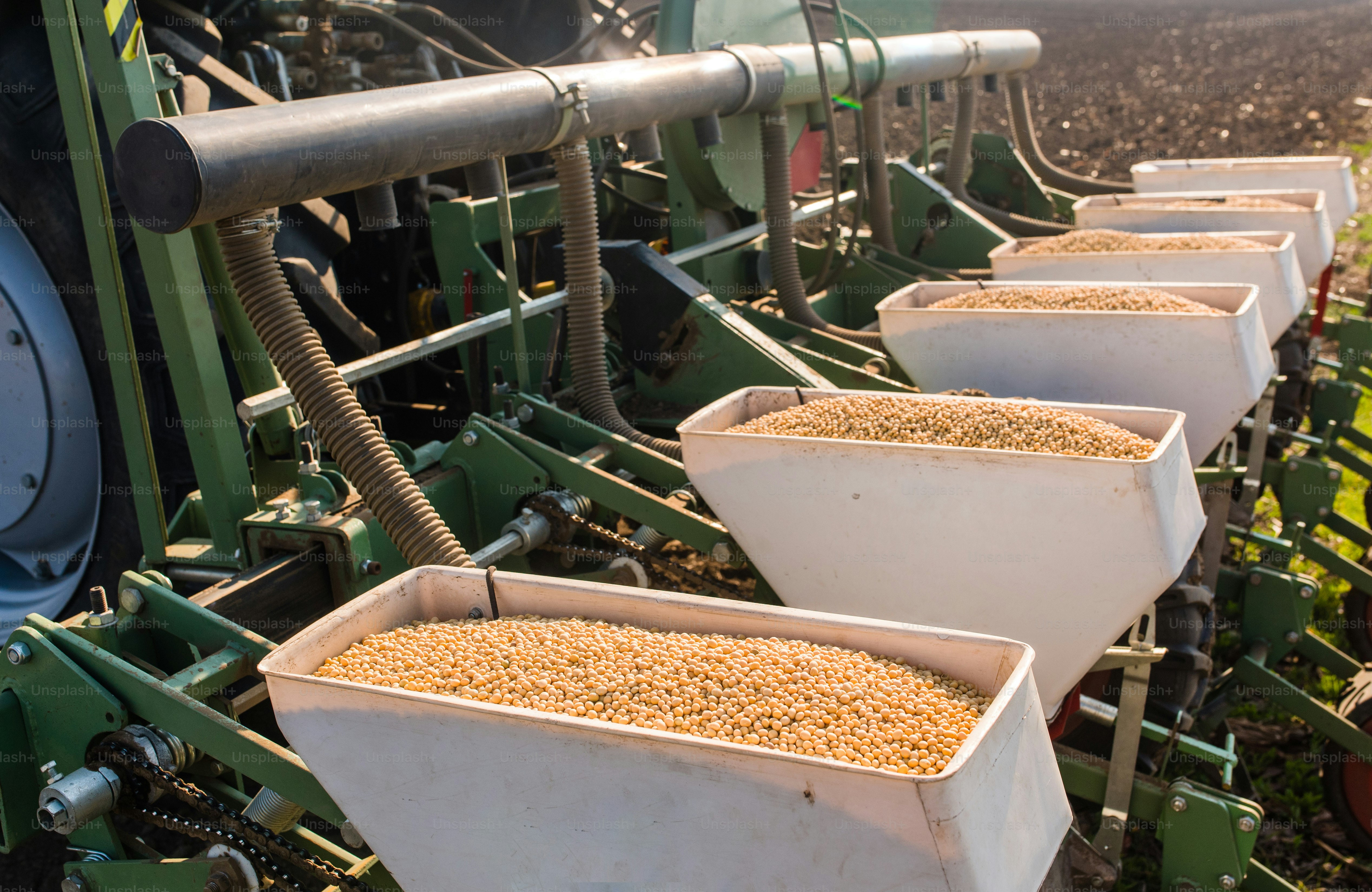 Feed Production Image