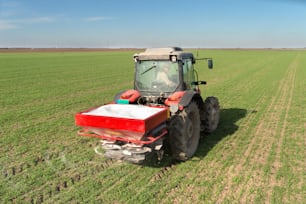 tractor fertilizing in wheat field