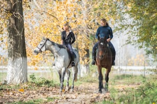 Girls on a horse ride.