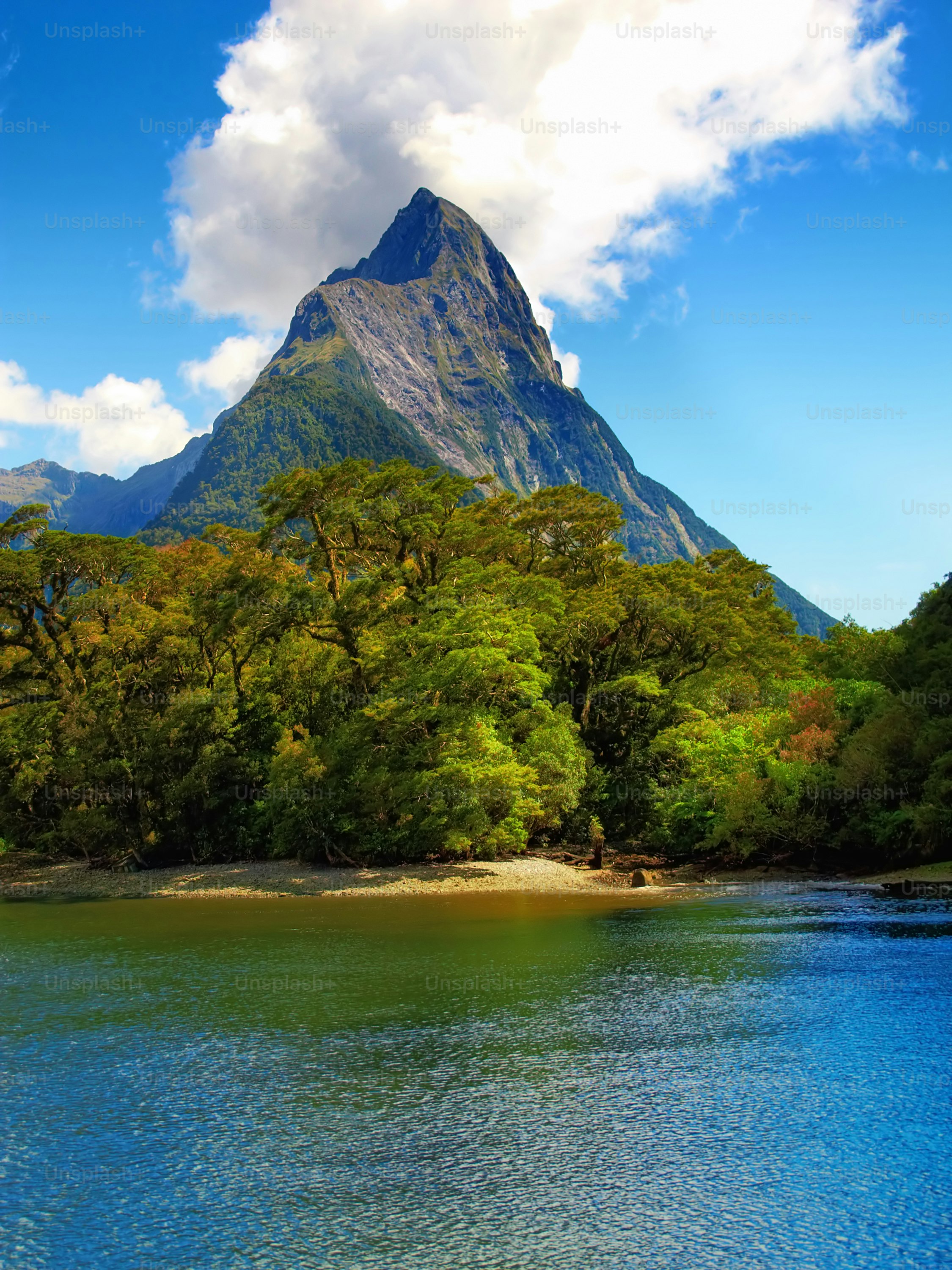 Scenic shot of a tropical paradise