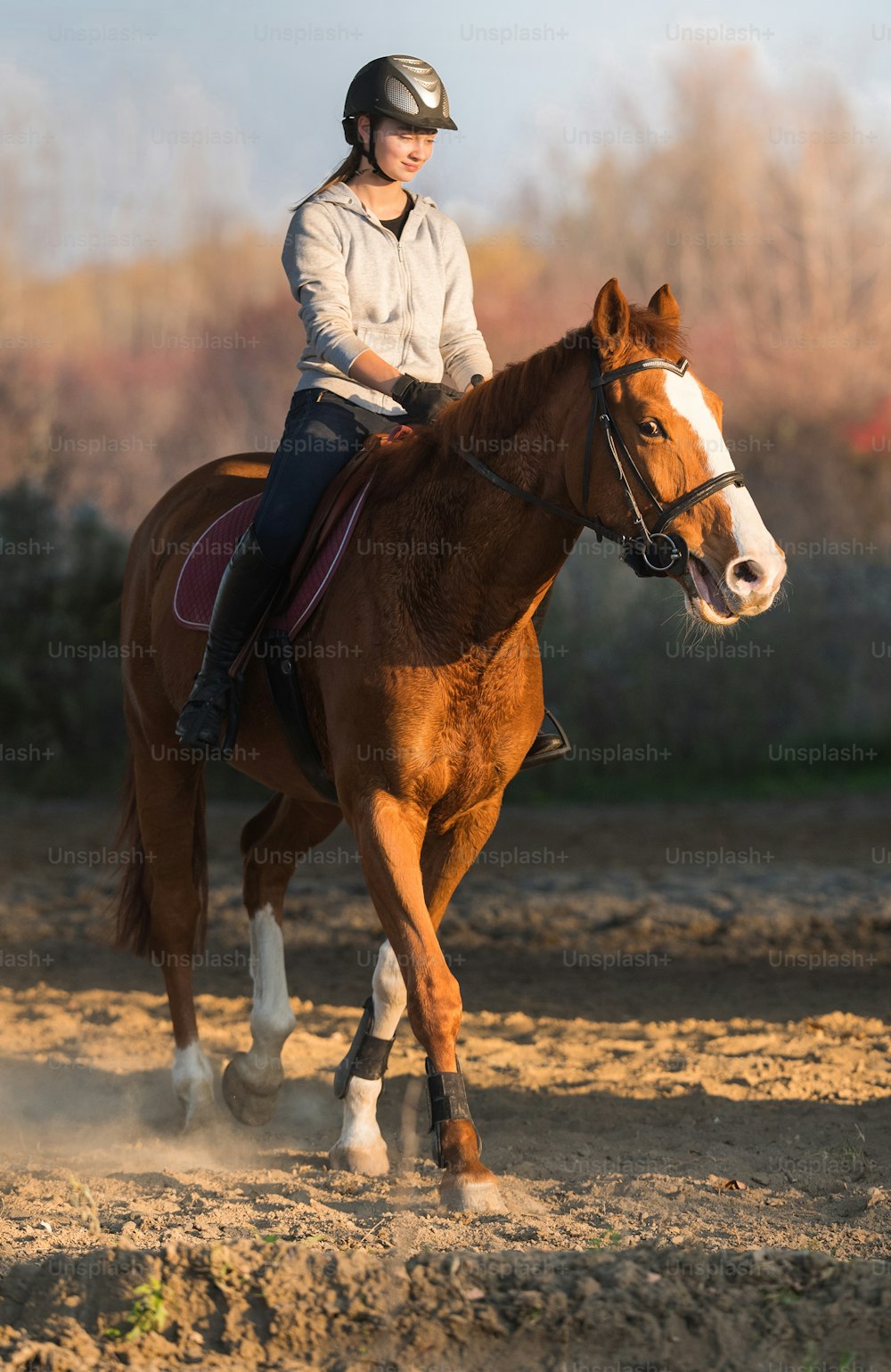 Young pretty girl riding a horse