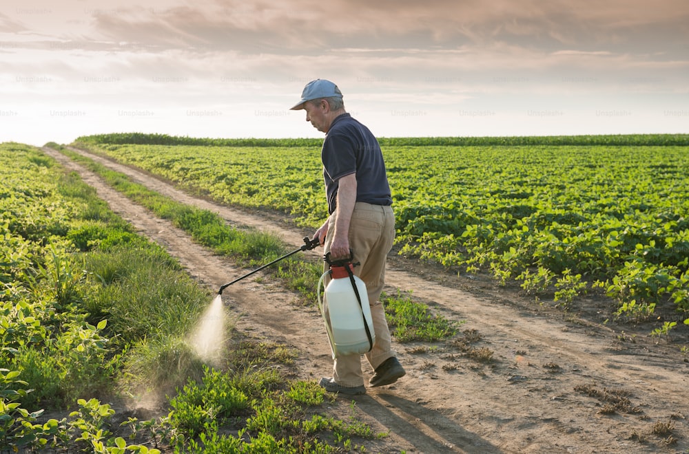 farmer spraying soybean field