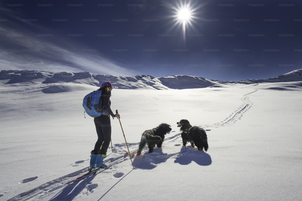 Lonely girl in the mountains with ski touring and two dogs on the alps