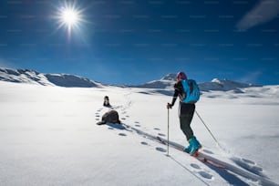 Woman with mountain skiing and climbing two friends dogs walking in snow landscape