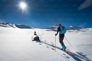 Femme avec ski de montagne et escalade deux amis chiens marchant dans le paysage enneigé