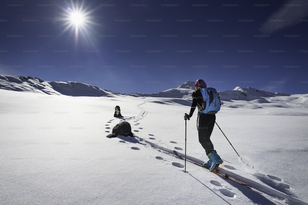 Mulher com esqui de montanha e escalada de dois cães amigos que andam na paisagem da neve