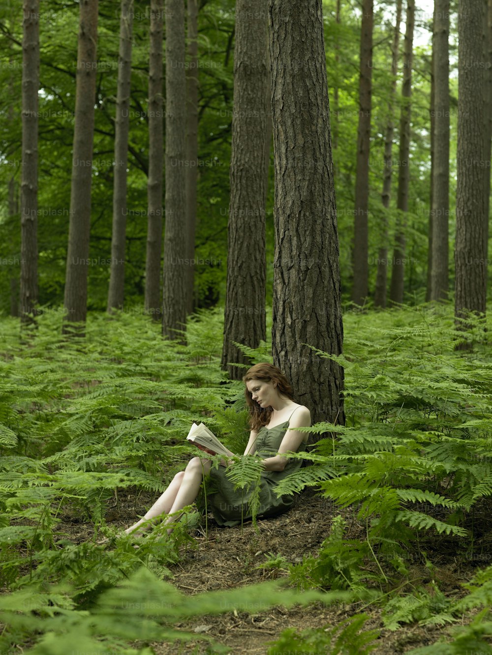 Una mujer sentada en el bosque leyendo un libro