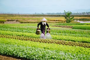 a person in a field with a hat on