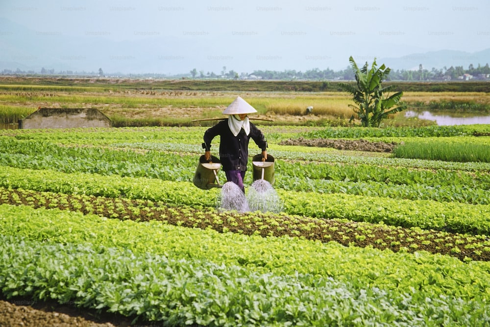 Una persona en un campo con un sombrero puesto