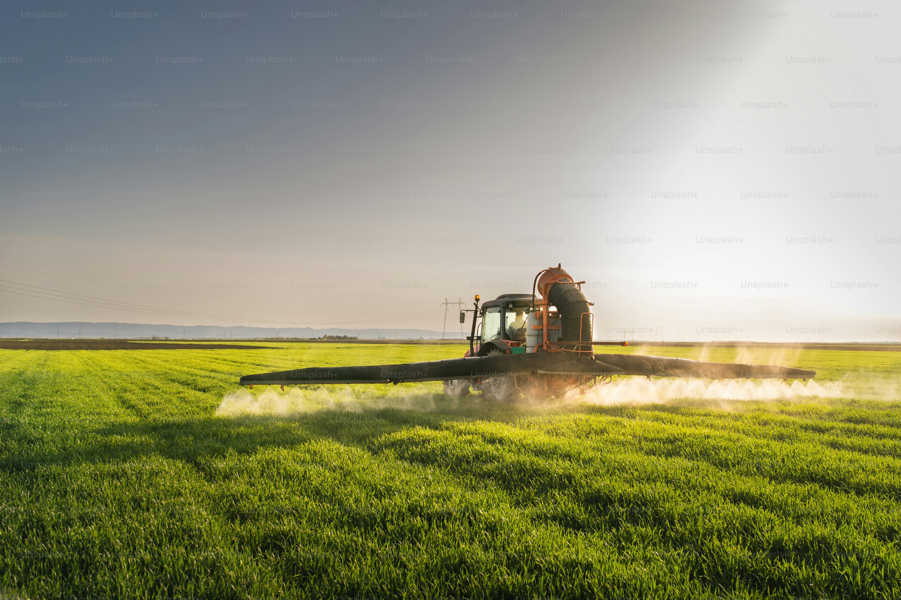 Traktor menyemprot ladang gandum dengan penyemprot