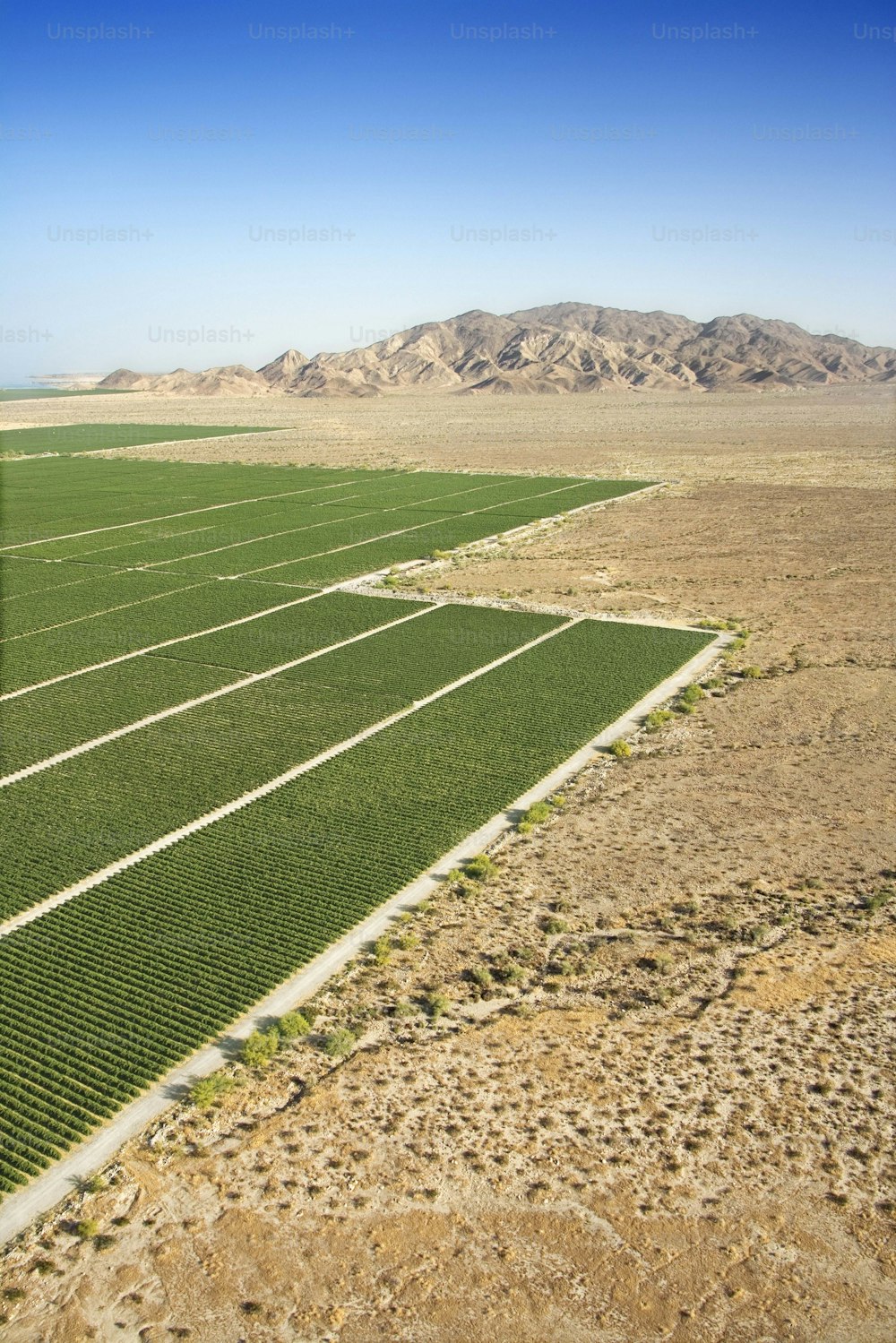 an aerial view of a large field of crops