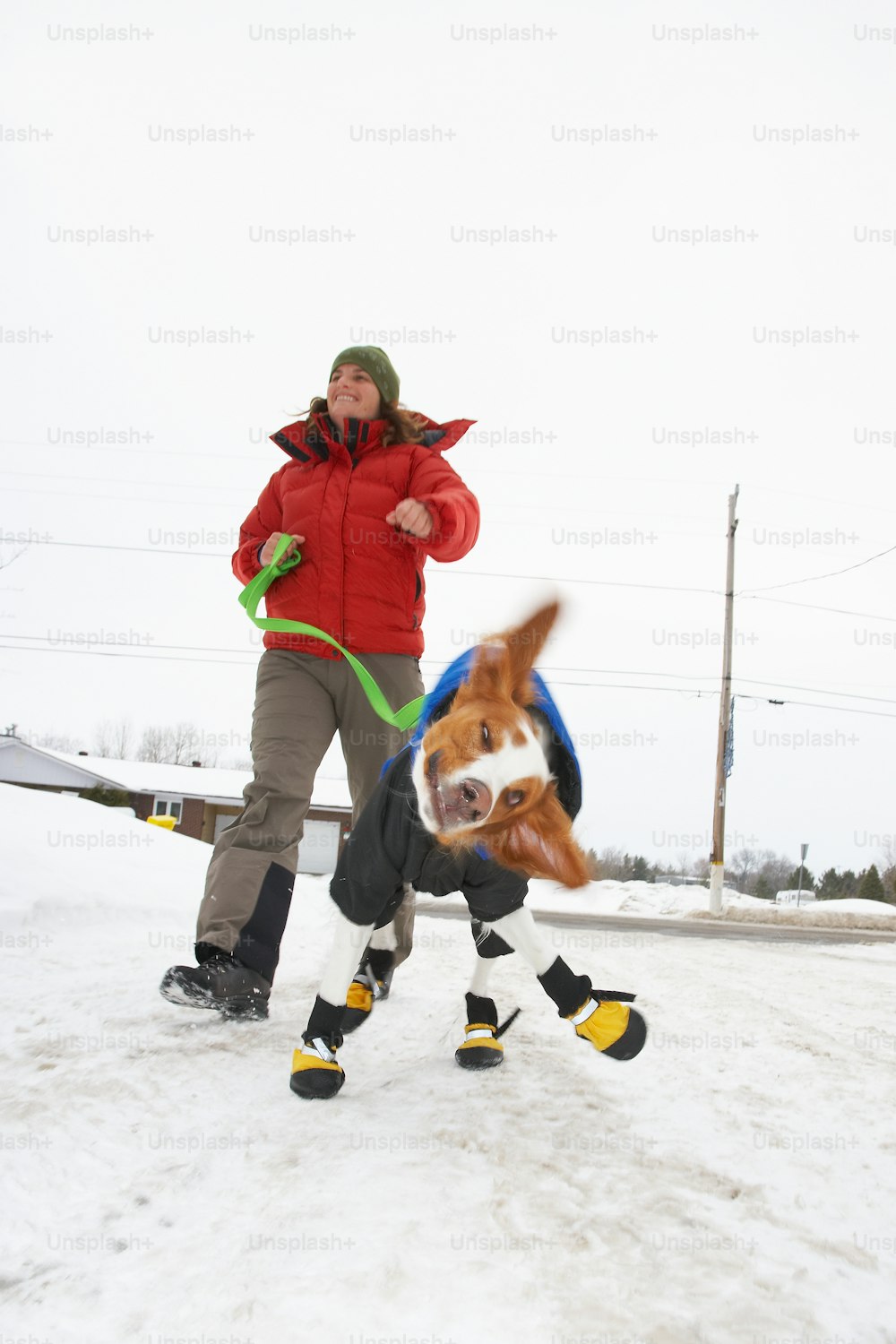 雪の中でひもにつないで犬を散歩させる女性