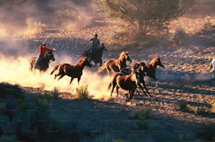um grupo de pessoas montando cavalos no deserto