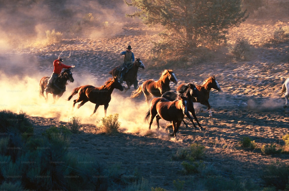 a group of people riding horses in the desert