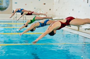 un groupe de personnes plongeant dans une piscine