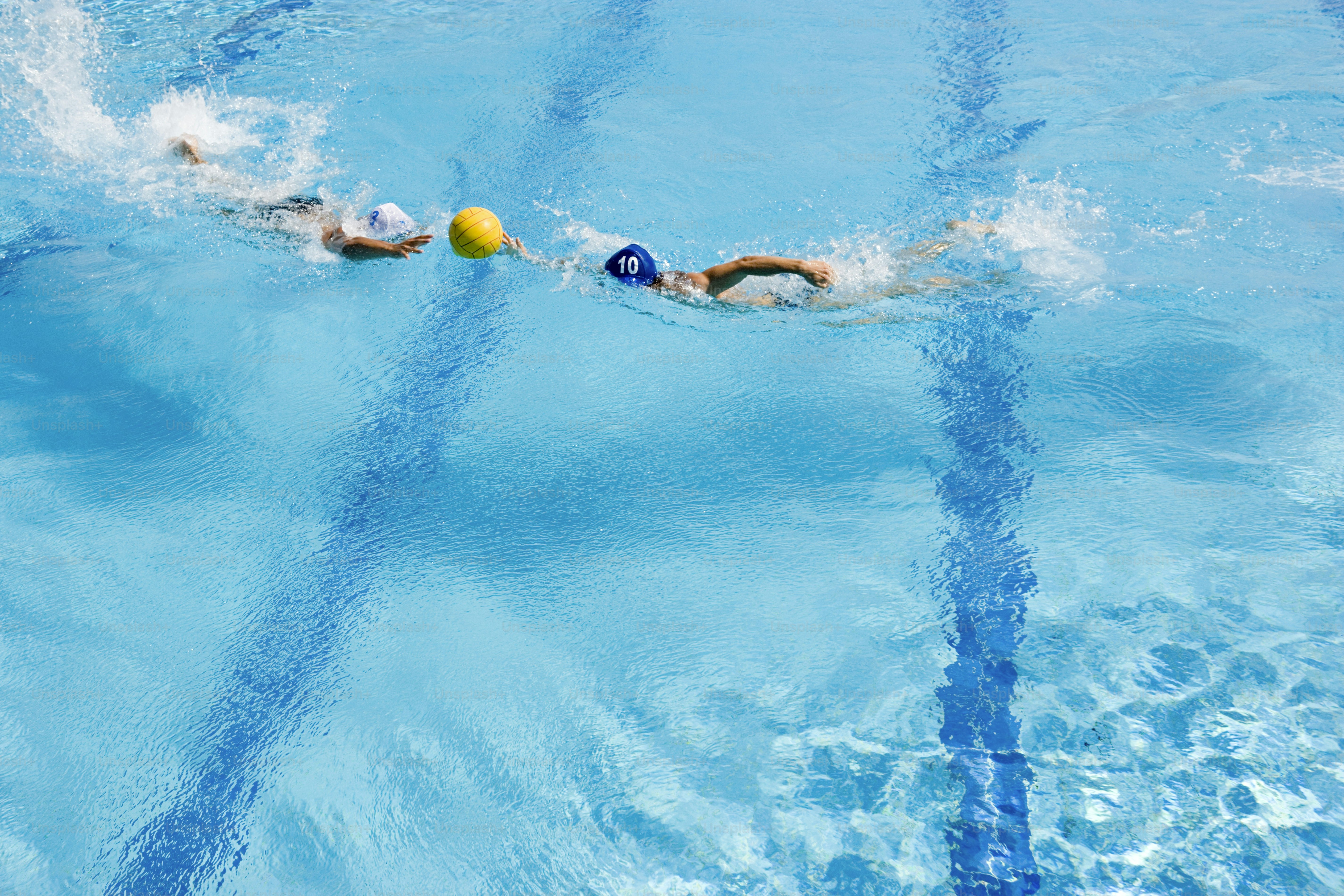 a group of people swimming in a pool
