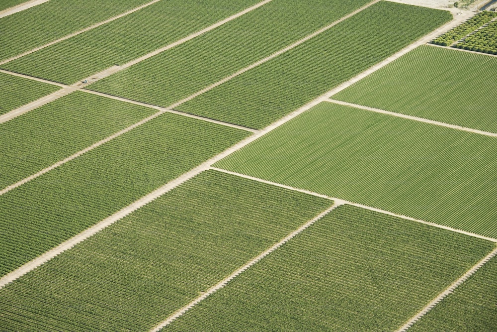 una veduta aerea di un campo di colture