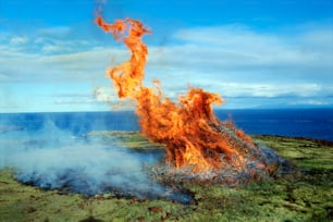 Un grande fuoco sta bruciando in mezzo a un campo