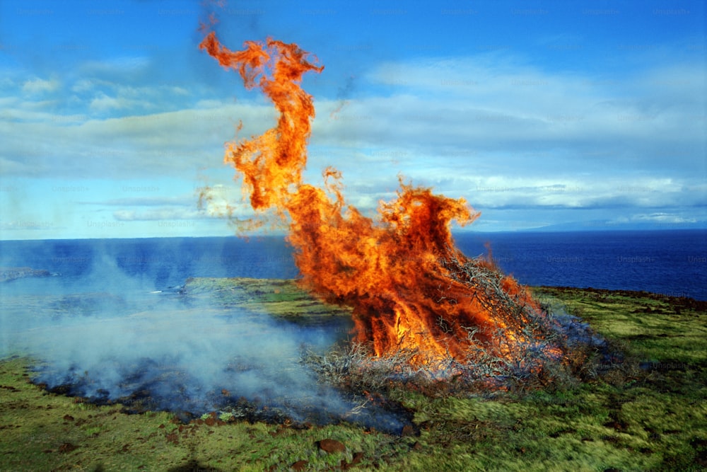 a large fire is burning in the middle of a field