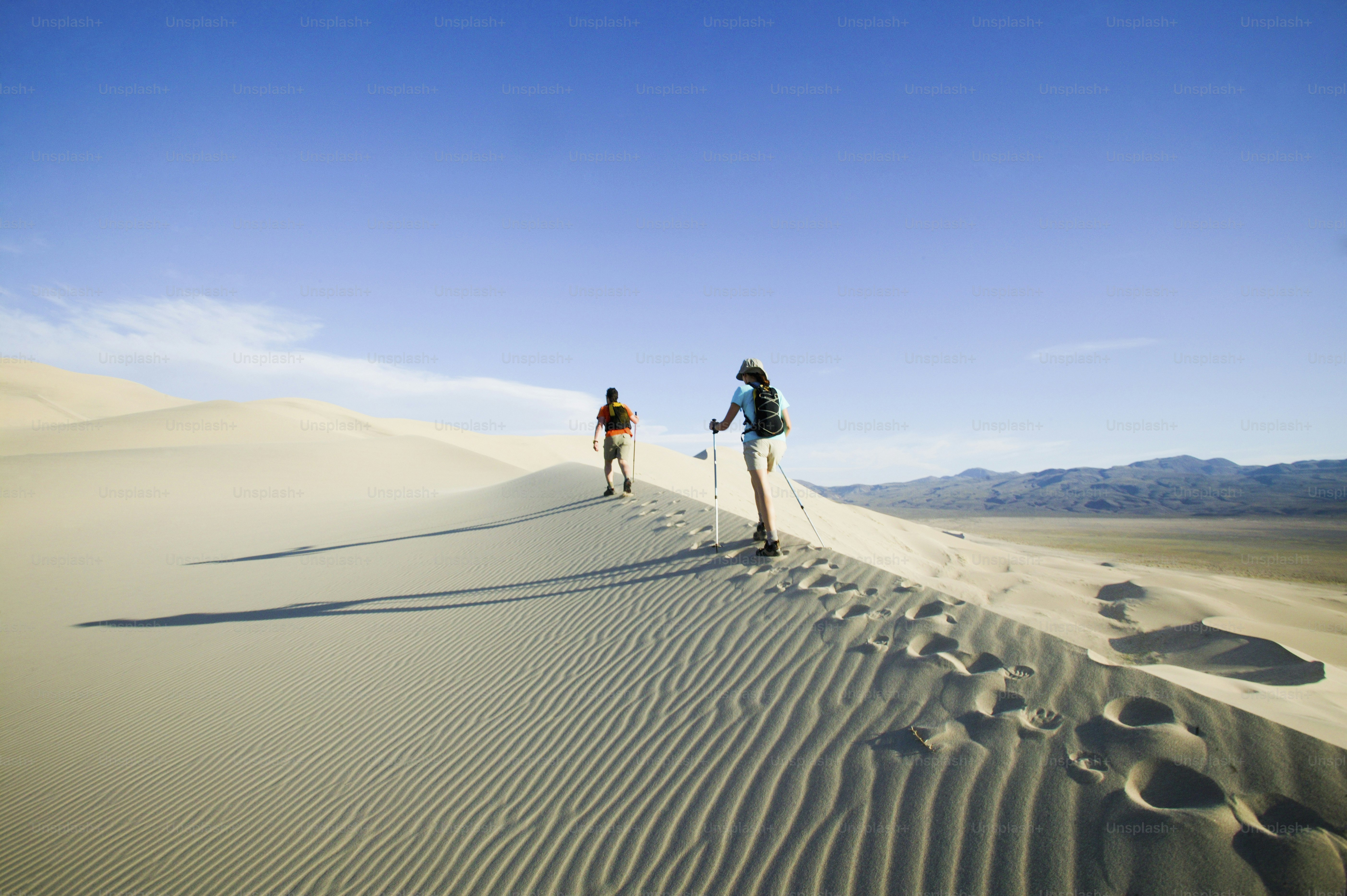 a couple of people riding skis across a desert
