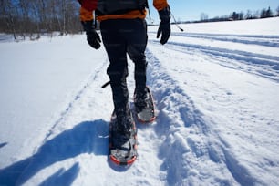 スキーで雪の中を歩く人