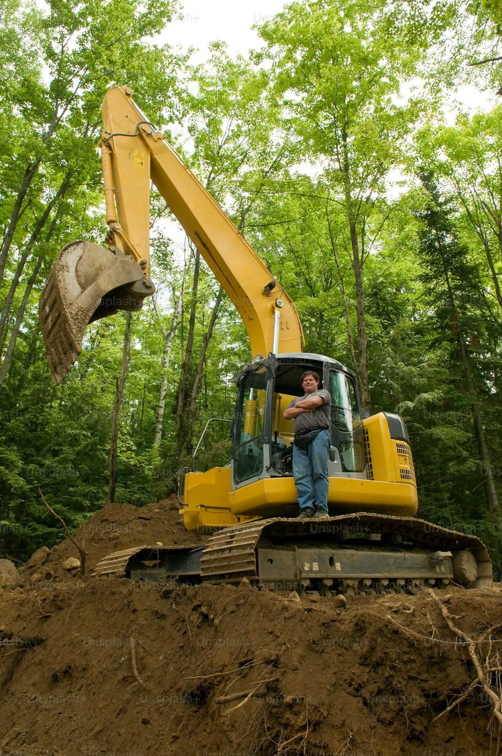 a man sitting on top of a bulldozer in a forest