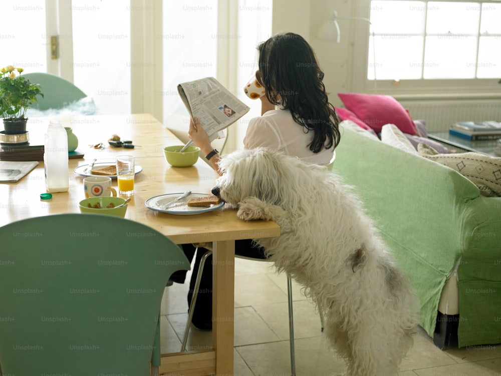 uma mulher sentada em uma mesa com um cachorro