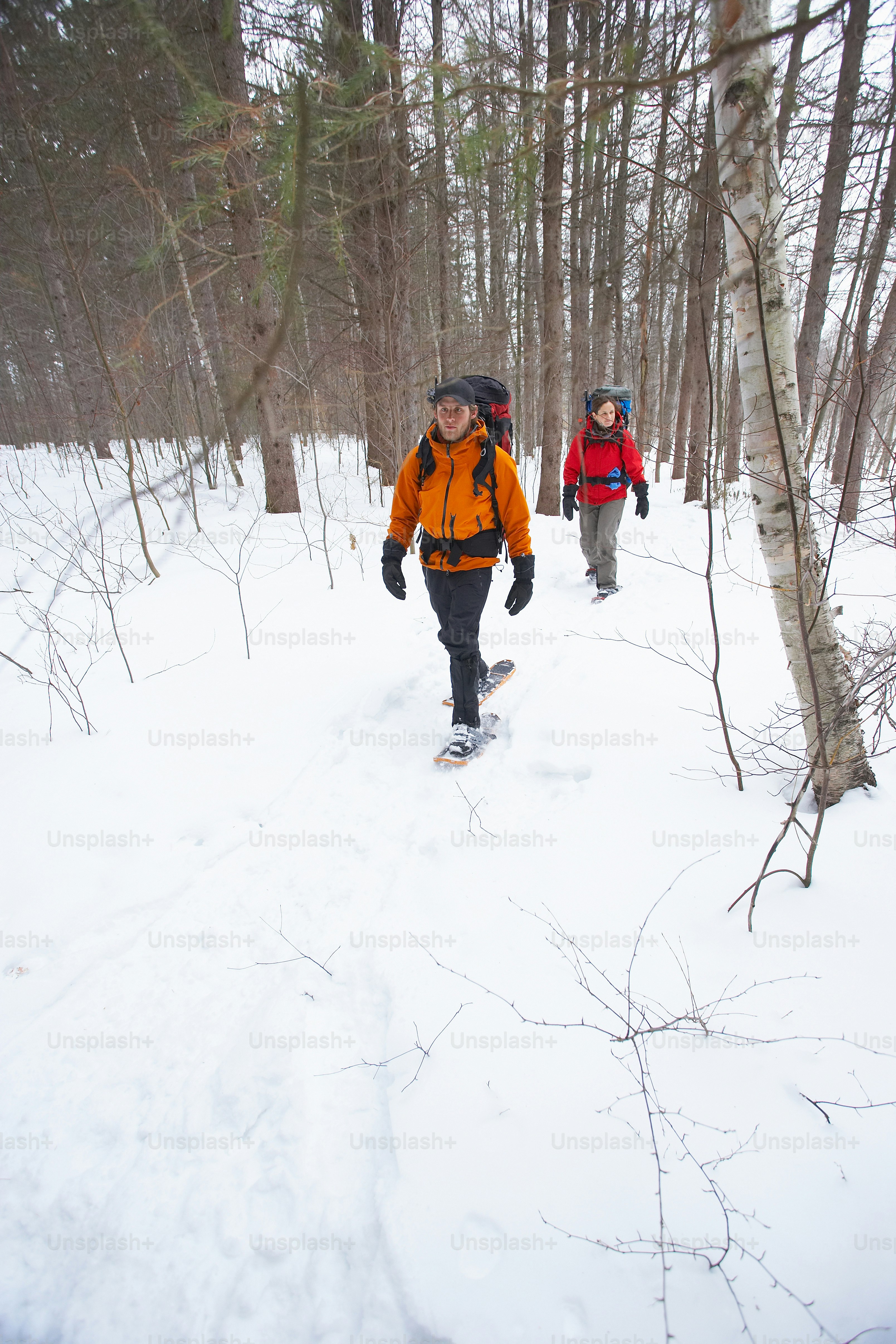 a couple of people walking through a snow covered forest