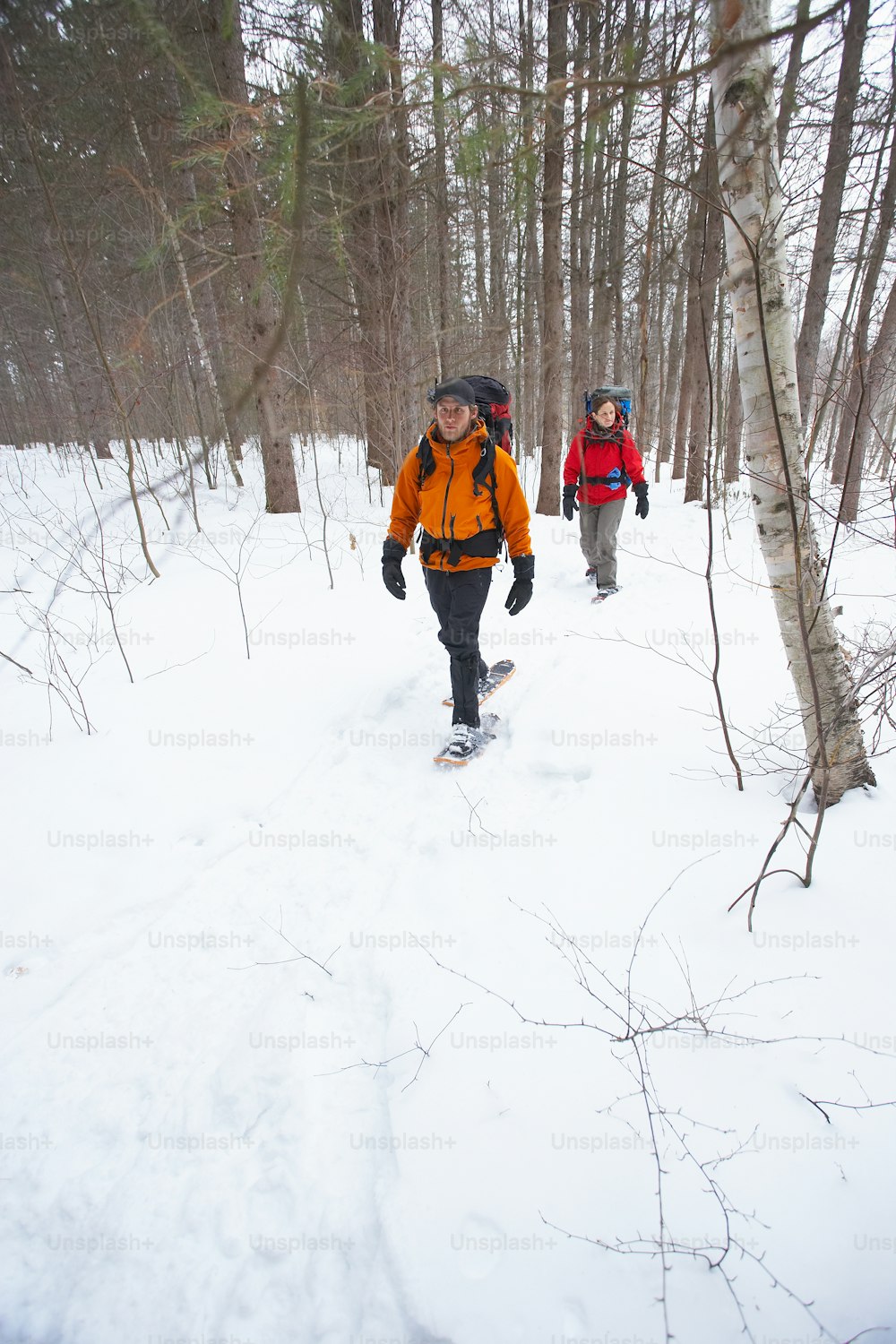 a couple of people walking through a snow covered forest