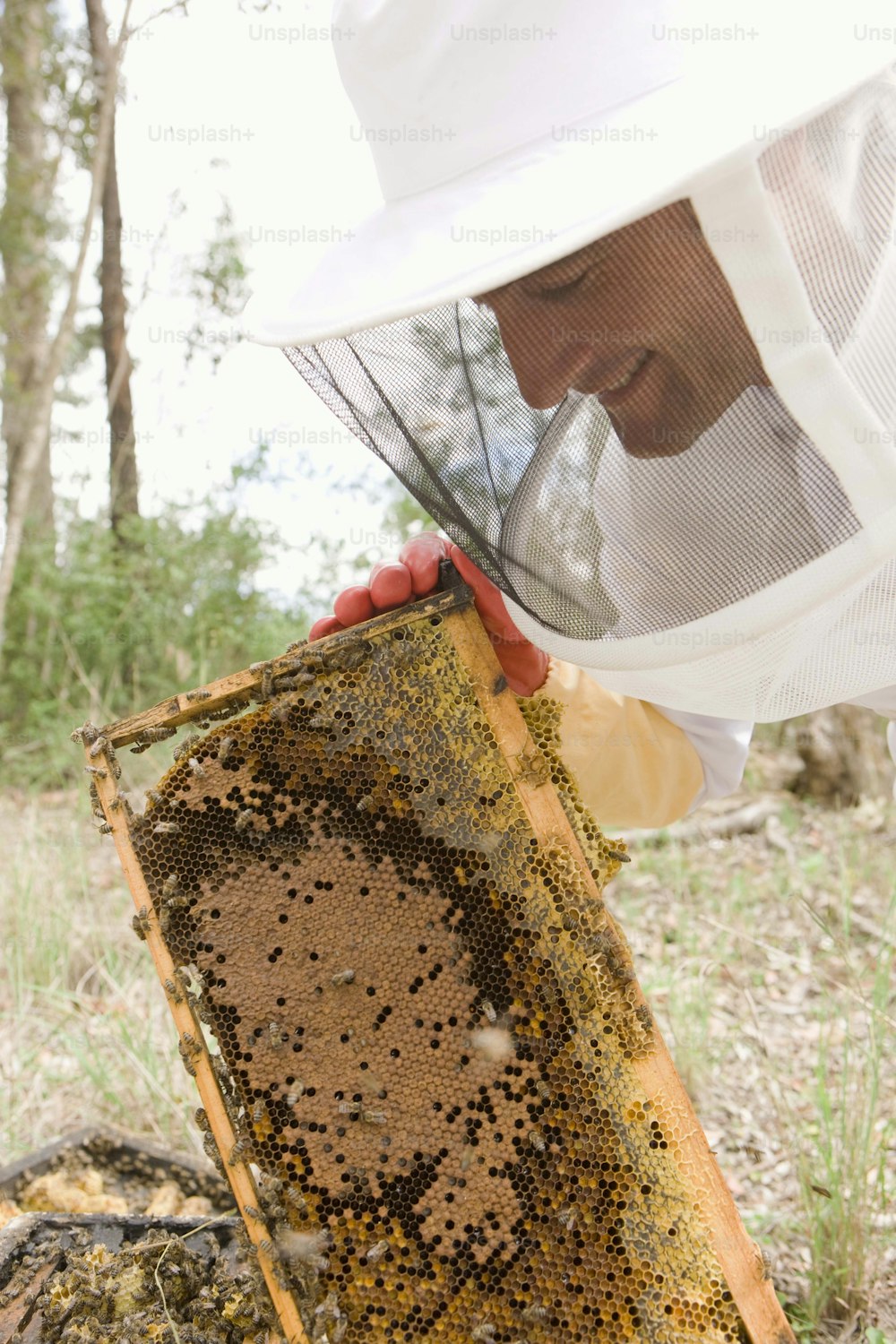 Ein Mann in einem Bienenanzug, der einen Bienenstock hält