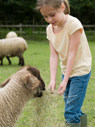 a young girl feeding a sheep in a field