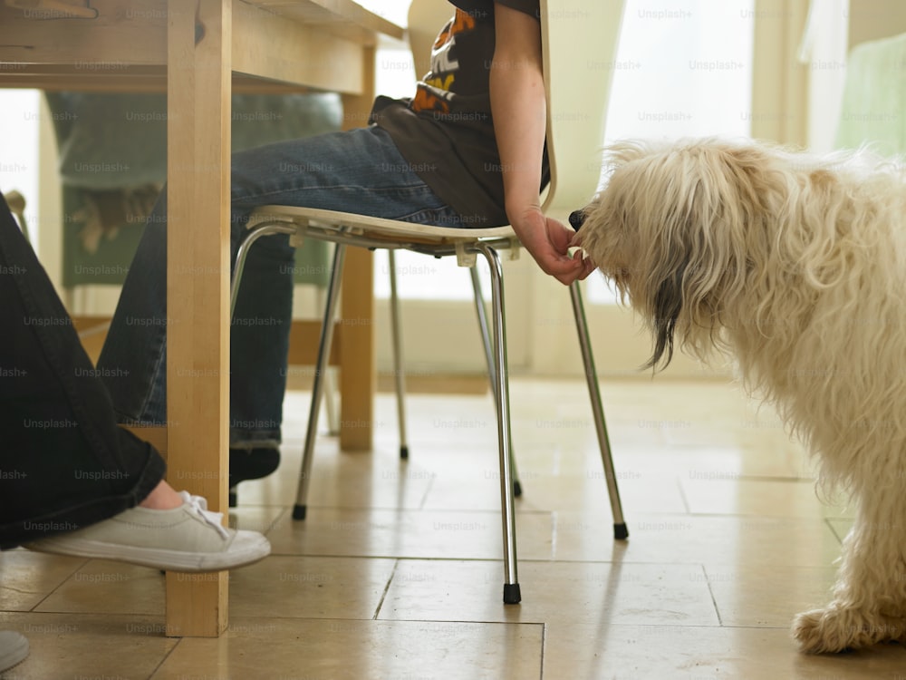 une personne assise à une table avec un chien