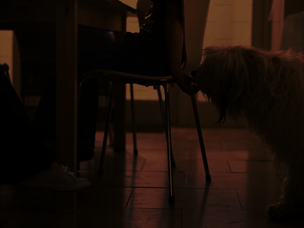 犬と一緒にテーブルに座っている人