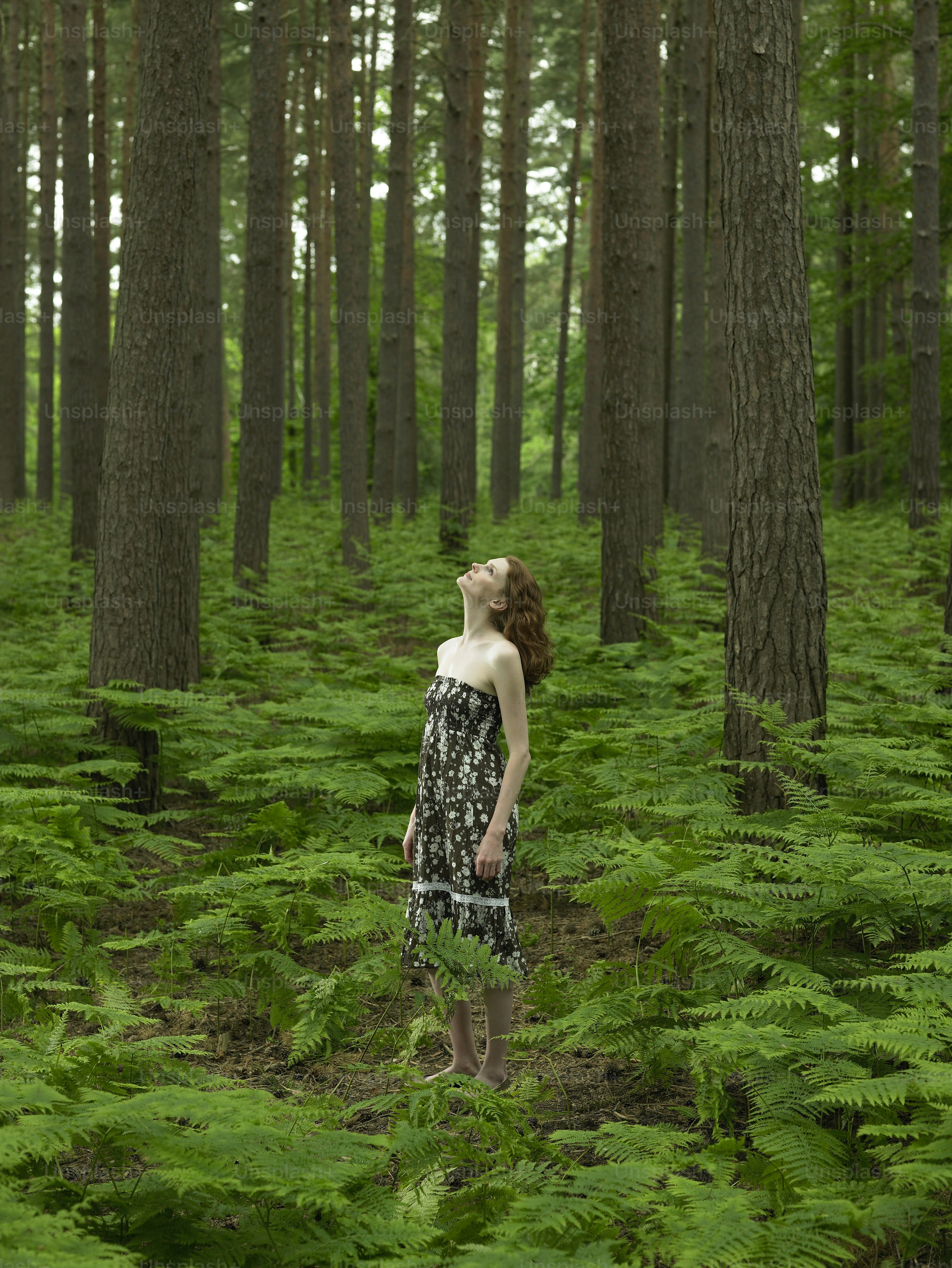 森の真ん中に立つ女性