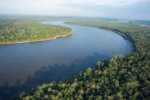 a river running through a lush green forest