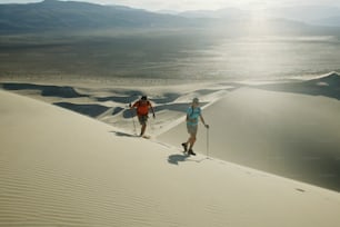 a couple of people riding skis across a desert