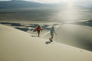Un par de personas montando esquís a través de un desierto